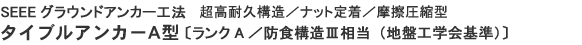 SEEEグラウンドアンカー工法　超高耐久構造／ナット定着／摩擦圧縮型　タイブルアンカーA型　ランクＡ　防食構造Ⅲ相当（地盤工学会基準）